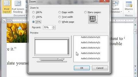 Word 2010 Footnotes and Endnotes