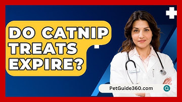 Do Catnip Treats Expire? - PetGuide360.com