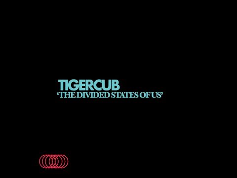TIGERCUB — THE DIVIDED STATES OF US