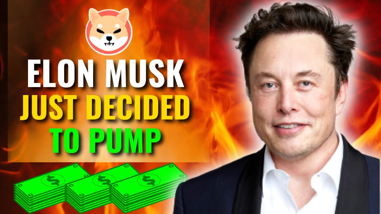 Илон Маск только что решил снова накачать сиба-ину!! (Без шуток!!) - Новости о сиба-ину сегодня