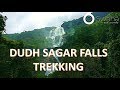 Dudhsagar Waterfall | Sea of Milk | Trekking | India's tallest waterfalls