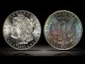 1880-S Morgan Silver Dollar NGC MS64 with Fully Toned Reverse Color