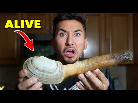 Eating Weird Things I Ordered Online… (LIVE GEODUCK)