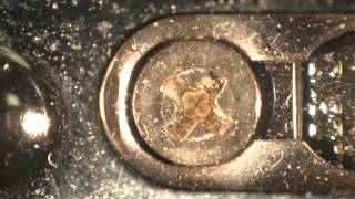 Infinity Model K2 DistaMax with CF-2 Objective - Philips Screw -  - Infinity Photo-Optical Company