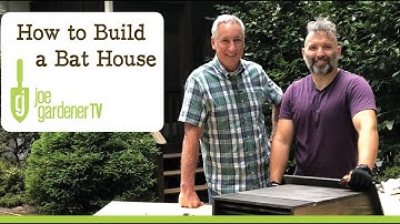 How to Build a Bat House