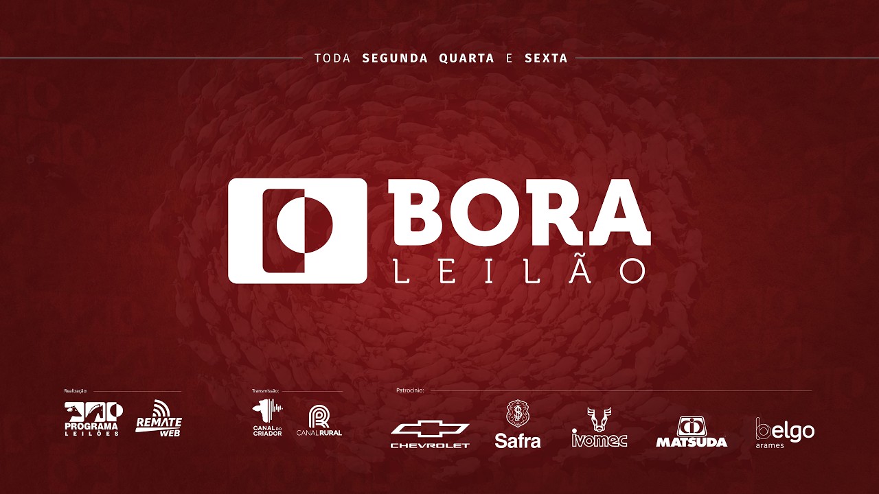 BORA LEILÃO: programe seus investimentos!