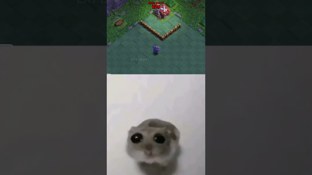 clash of clans bowler hamster meme
