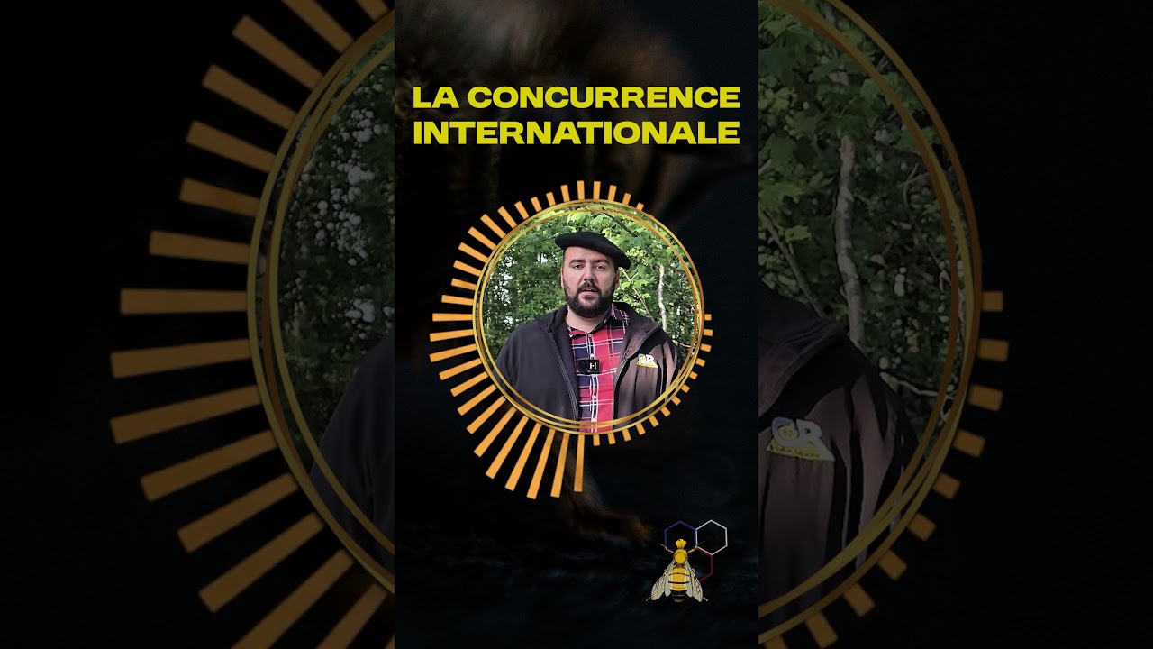 P.G Mercadal - La concurrence internationale