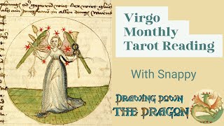 VIRGO MONTHLY TAROT READING NOV 2025