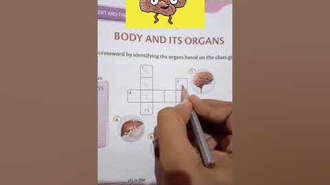 MLZS JHANSI CLASS 3 General Knowledge Body and its organs