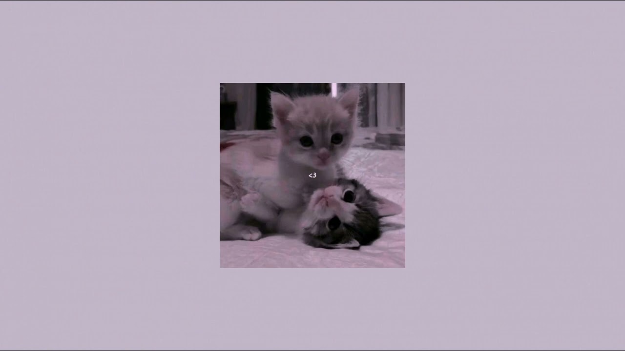 Arnon ft. Killua- Te molla (speed up)