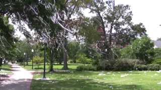 HD - Auburn University - around campus