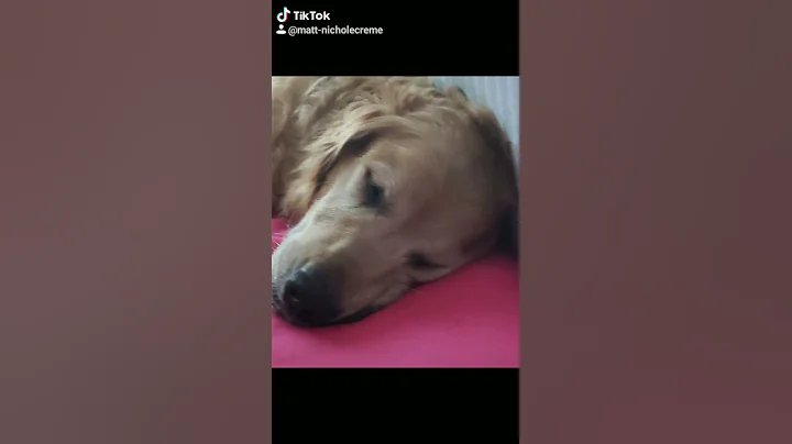 screen shots