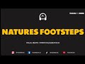 Natures Footsteps Nasheed Background Instrumental Vocals Daf HalalBeats 