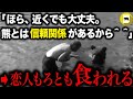 13年間ヒグマと触れ合い続けた男。管理局からの警告を無視し続け、愛する熊の近くでキャンプをした結果…「ティモシー・トレッドウェル熊事件」