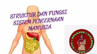 STRUKTUR DAN FUNGSI SISTEM PENCERNAAN MANUSIA STRUKTUR DAN FUNGSI SISTEM PENCERNAAN MANUSIA