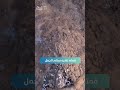 5 معلومات مدهشة عن جبل النور اكتشف غار حراء مع مزار
