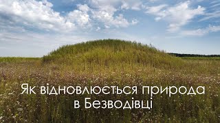 Як відновлюється природа в Безводівці ☸