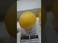 Olha esse melão!