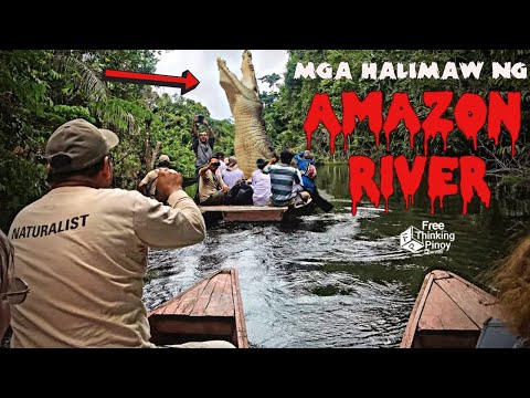 Video: Ang Amazon River ay ang pinakamalalim na ilog sa mundo