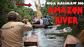 PINAKA DELIKADONG ILOG SA MUNDO | Top 12 Dangerous Animals of Amazon River screenshot 3