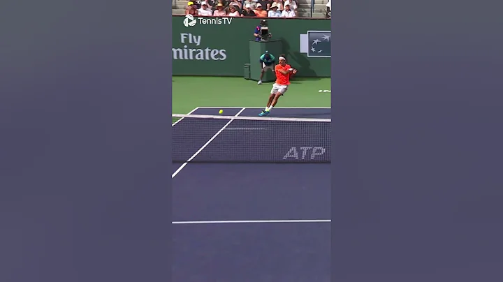 Roger Federer Wins CRAZY Point Vs Novak Djokovic 🚀 - DayDayNews