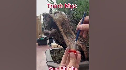 Thuốc Bôi Lũa Cho Cây Kiểng Bonsai