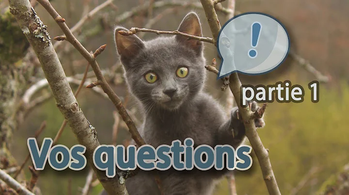 Your questions: The project, the building / herita...
