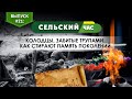 Колодцы, забитые трупами. Как стирают память поколений. Сельский час #21 (Игорь Абакумов)