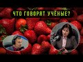 Земляника под санкциями. Будет ли в России высокий ягодный сезон? // Что говорят учёные?