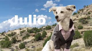 Video thumbnail of "Tell me quando by julio"