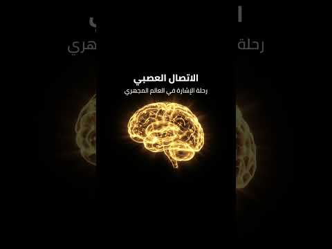 بكالوريا