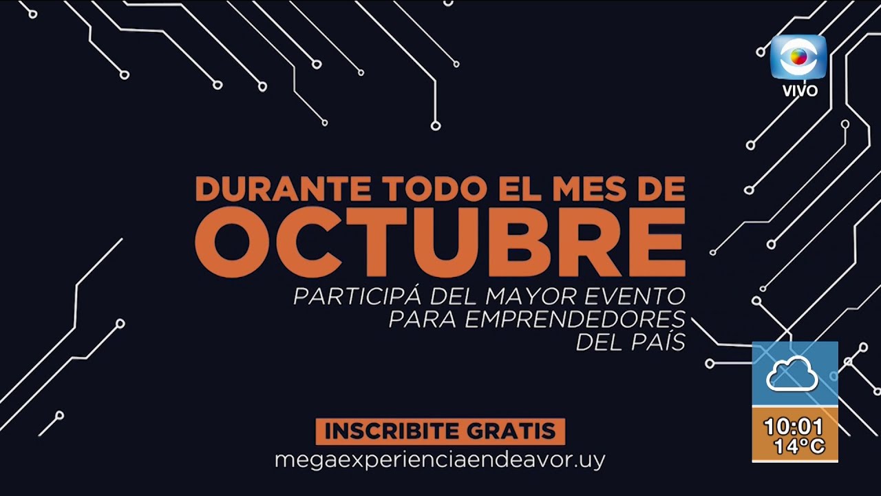 Mega experiencia Endeavor