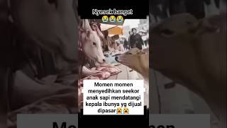 The Touching Moment Of A Calf Approaching Its Mothers Head Which Is Being Sold At The Market