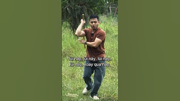 Cách Chuyển Tay Tốt Với Côn Nhị Khúc | How to switch hands well with nunchaku | VinKungfu Shorts