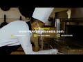 Gambar Sepatu Safety SAFETOE Kitchen Chef Anti Minyak Air Detergen DRACO PU dari MITRABAJA SAFETINDO Kab. Sidoarjo 9 Tokopedia