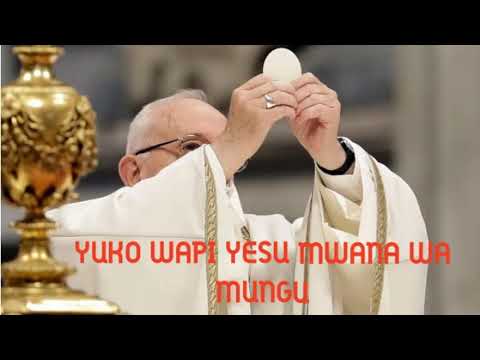 Video: Wanasayansi Wanathibitisha: Yesu Alioa