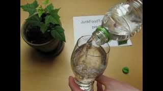 LIDL Freeway Aqua plus Sport Limette and Grapefruit screenshot 4