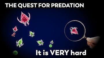 The Evolution of Predation in a Simulated Ecosystem