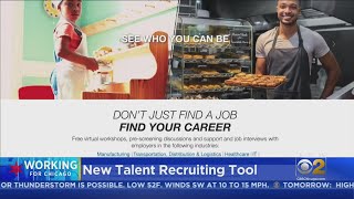 New 'Talent Solutions Connector' Tool Seeks To Help Cook County Businesses Find Potential New Employ