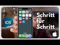 Telefoniere nicht mehr mit deinem iPhone, bevor du diese Einstellungen deaktivierst