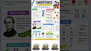 Inheritance. #inheritance #biology #education #cambridge #edexcel #genetics #evolition