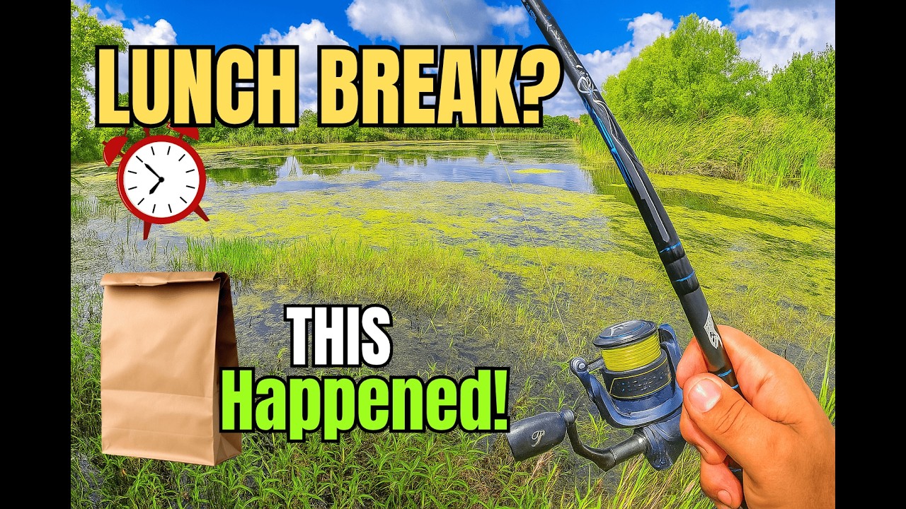 I Tried Fishing During My Lunch Break! (Then This Happened!)