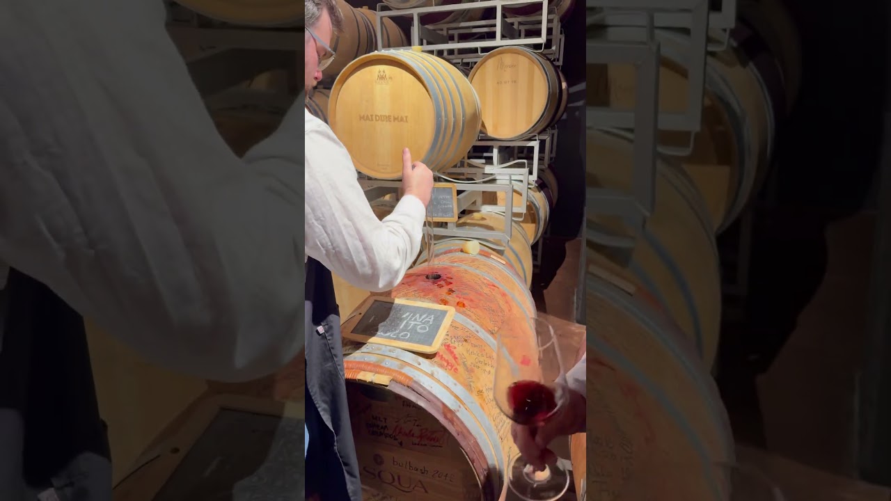 The whole Corney & Barrow team goes to Pasqua Winery, Verona.