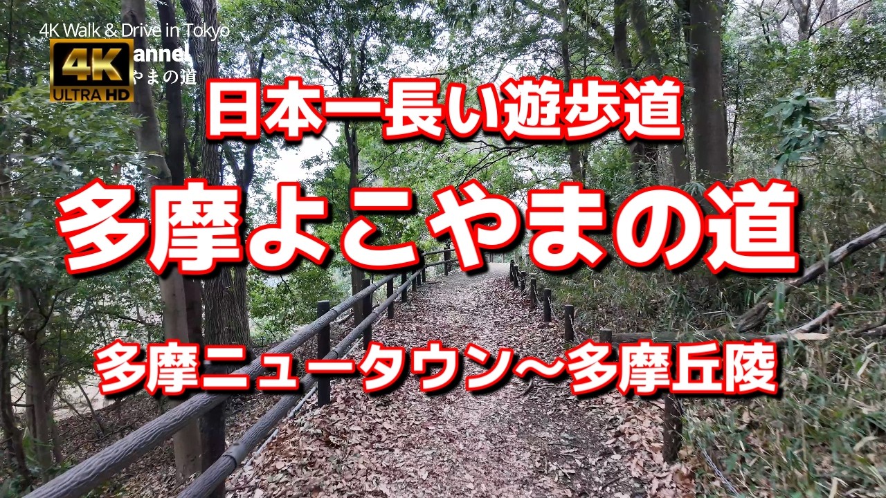 【街ブラ4K】【多摩よこやまの道を歩く～日本一長い遊歩道～3時間弱の散策】【多摩丘陵～里山の自然】【防人見返りの峠で多摩ニュータウンを見渡す】【大妻女子大学からロピア若葉台まで】【南多摩尾根幹線道路】