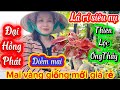 21-5/2026☎️0879.718.454👉kim Chi🌲mai vàng giống mới giá rẻ DIỄM MAI ĐẠI HỒNG PHÁT THIÊN LỘC LÁ RÍ