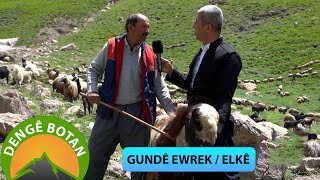 Dengê Botan - Gundê Ewrek Elkê