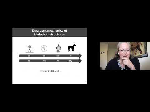 Video: A Method Has Been Developed To Increase The Capacity Of Optical Disks By A Factor Of One Million - Alternative View