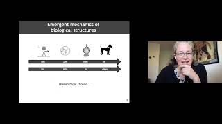 Day 1: Mechanics in Physiological Systems - From Organelle to Organism