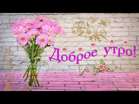 ☀️С ДОБРЫМ УТРОМ! ПРЕКРАСНОГО ДНЯ!☀️МУЗЫКАЛЬНАЯ ВИДЕО-ОТКРЫТКА☀️